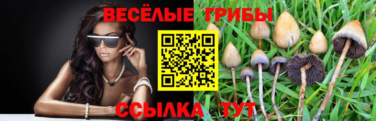 Галлюциногенные грибы Magic Shrooms  Галлюциногенные грибы ЛСД  Советск  Вход с VPN 