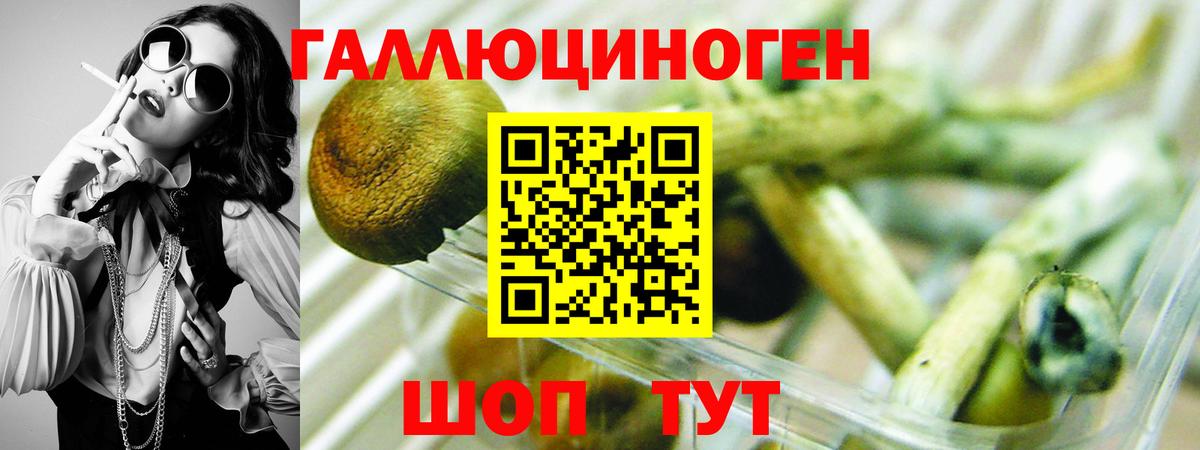 Галлюциногенные грибы Magic Shrooms Советск
